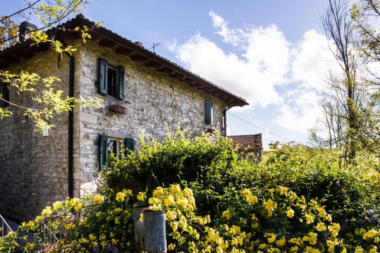La Cavanella B&B Camugnano エクステリア 写真