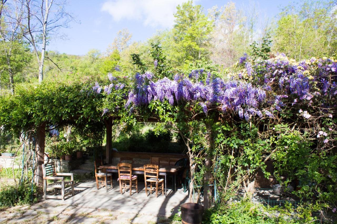 La Cavanella B&B Camugnano エクステリア 写真